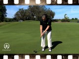 Do You Watch the Putter&nbsp;Head?
